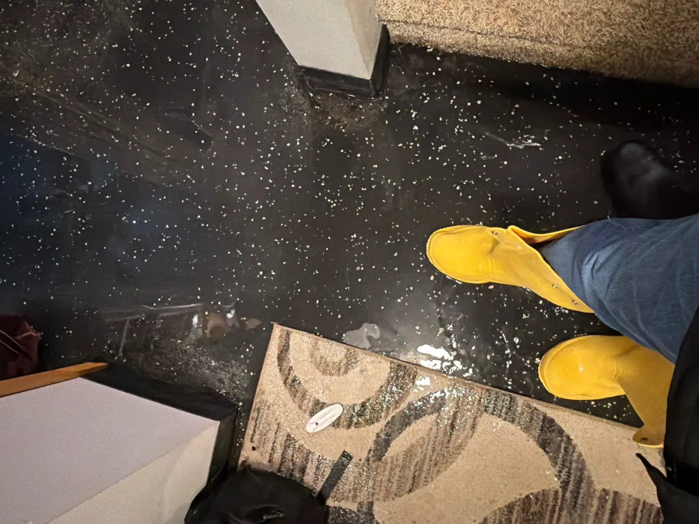 Documented commercial restoration in Fortville, IN