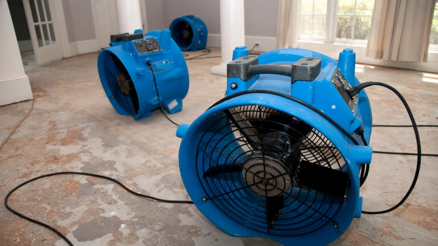 Sanitization after sewage event in Fortville Indiana home